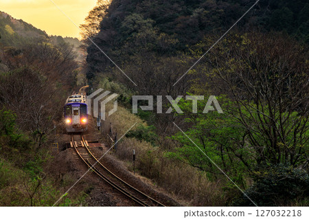 A diesel train on the Kansai Main Line heading towards Kamo through a deep green valley at dawn 127032218