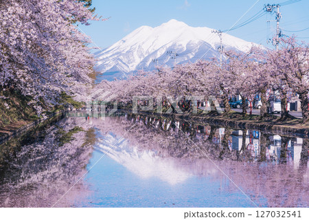 青森縣弘前公園的櫻花盛開 127032541