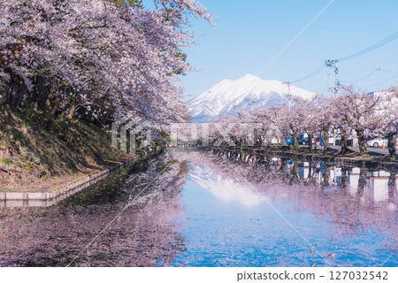 Cherry blossoms in full bloom at Hirosaki Park in Aomori 127032542