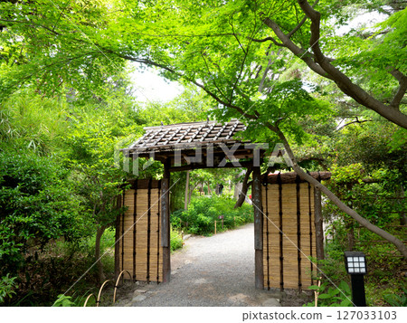 東京向島百花園 127033103
