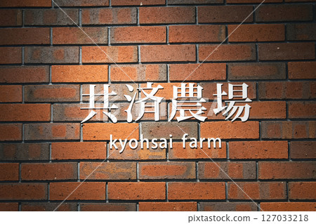 Brick wall Brick wall 127033218