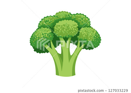 西蘭花的插圖 西蘭花的插圖 127033229