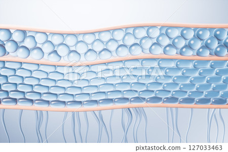cosmetics, curve, epidermis 127033463