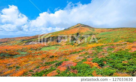 Climbing Mount Kurikoma in autumn (view of Mount Kurikoma from Mount Higashi-Kurikoma) 127033630