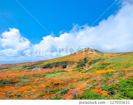 Climbing Mount Kurikoma in autumn (view of Mount Kurikoma from Mount Higashi-Kurikoma) 127033631