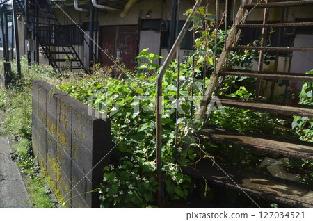 被遺棄的廢棄的商店 被遺棄的廢棄的商店 127034521