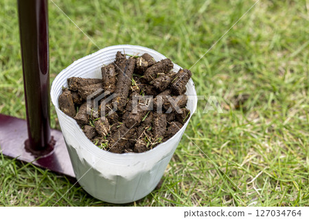 Image of lawn care 127034764