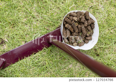 Image of lawn care Image of lawn care 127034766