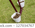 Image of lawn care Image of lawn care 127034767