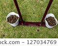 Image of lawn care Image of lawn care 127034769