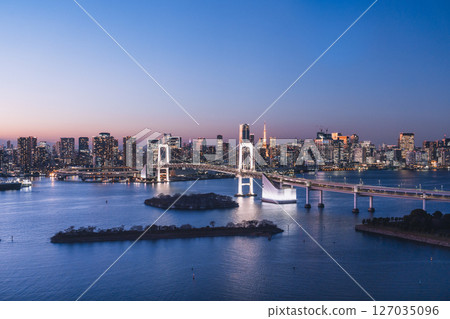 Night view of central Tokyo from Odaiba 127035096