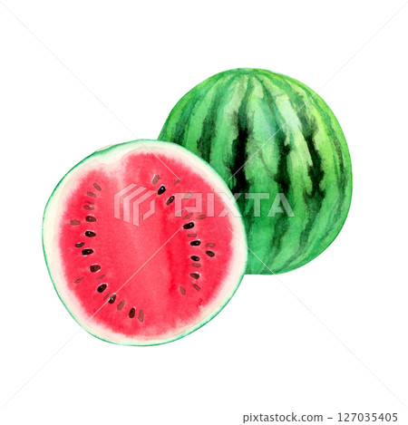 西瓜紅色果實橫斷面水彩插圖 127035405