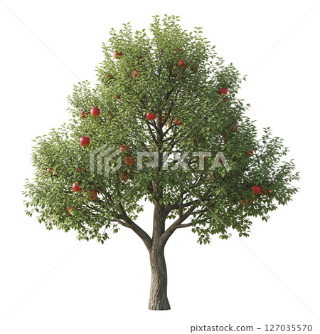 Realistic apple tree with lush green leaves and ripe red apples on a transparent background, perfect for food, farm, or nature-themed designs. 127035570