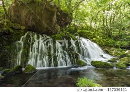 初夏秋田縣尼卡保市的元崎伏ry龍和元崎河流量 127036131