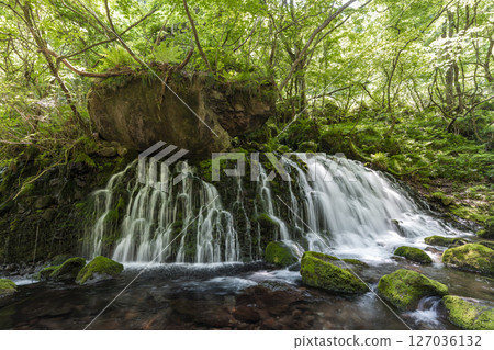 初夏秋田縣尼卡保市的元崎伏ry龍和元崎河流量 初夏秋田縣尼卡保市的元崎伏ry龍和元崎河流量 127036132