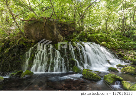 初夏秋田縣尼卡保市的元崎伏ry龍和元崎河流量 127036133