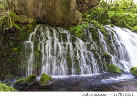 The flow of Mototaki Fushiryo and Mototaki River in early summer Nikaho City, Akita Prefecture 127036161