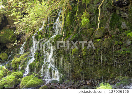 The flow of Mototaki Fushiryo and Mototaki River in early summer Nikaho City, Akita Prefecture 127036166