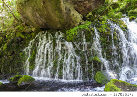 初夏秋田縣尼卡保市的元崎伏ry龍和元崎河流量 初夏秋田縣尼卡保市的元崎伏ry龍和元崎河流量 127036172