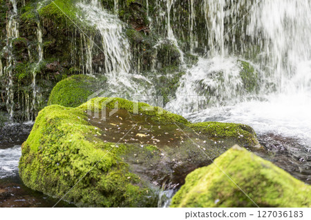 The flow of Mototaki Fushiryo and Mototaki River in early summer Nikaho City, Akita Prefecture 127036183