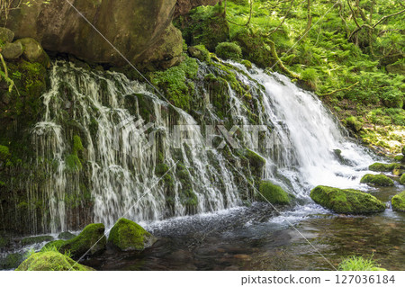 初夏秋田縣尼卡保市的元崎伏ry龍和元崎河流量 127036184