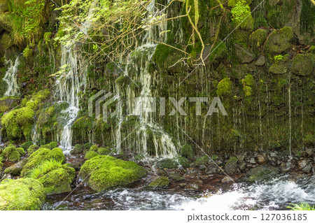 初夏秋田縣尼卡保市的元崎伏ry龍和元崎河流量 127036185