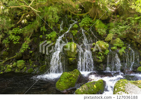 初夏秋田縣尼卡保市的元崎伏ry龍和元崎河流量 127036188