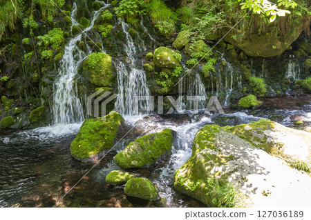 初夏秋田縣尼卡保市的元崎伏ry龍和元崎河流量 127036189