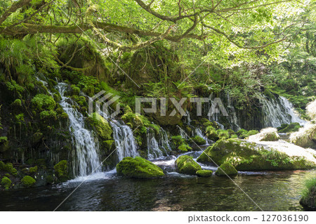 初夏秋田縣尼卡保市的元崎伏ry龍和元崎河流量 127036190