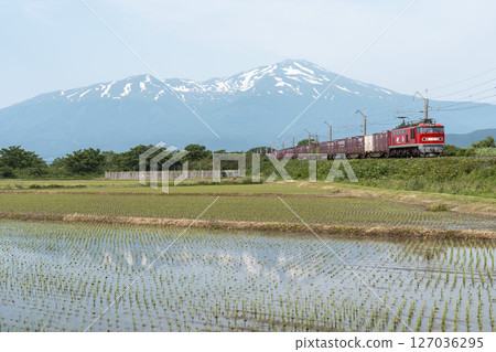 A freight train running in the paddy fields in early summer and Mt. Chokai, Yuza Town, Yamagata Prefecture A freight train running in the paddy fields in early summer and Mt. Chokai, Yuza Town, Yamagata Prefecture 127036295