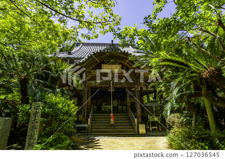 四國88所寺廟中第46所:淨琉璃寺本堂,愛媛縣松山市 四國88所寺廟中第46所:淨琉璃寺本堂,愛媛縣松山市 127036545