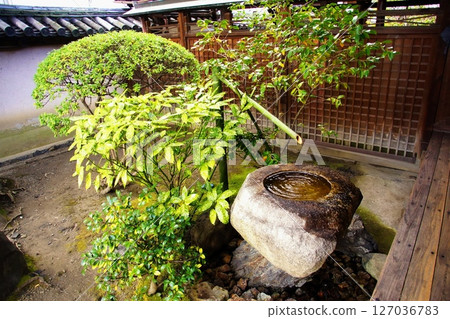 Kyoto Prefecture, Toji Temple, Kanchiin Temple, Chozubachi, Kujo-cho, Minami-ku, Kyoto City, February 2022 Kyoto Prefecture, Toji Temple, Kanchiin Temple, Chozubachi, Kujo-cho, Minami-ku, Kyoto City, February 2022 127036783
