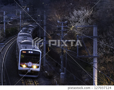 夜晚穿過偕樂園的“先驅” 夜晚穿過偕樂園的“先驅” 127037124