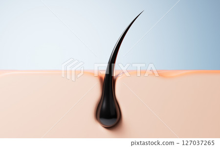 dermal, anatomy, root 127037265
