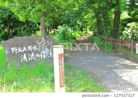 東大和市野比留灌溉渠道沿線道路 東大和市野比留灌溉渠道沿線道路 127037327