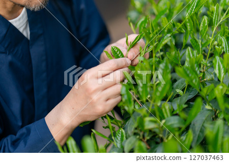 A man wearing work clothes A man wearing work clothes 127037463