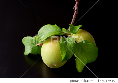 Plum fruit on a black background 127037649