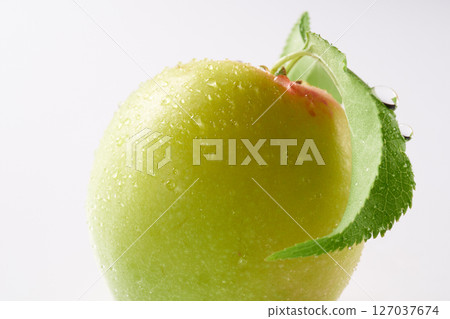 Plum fruit with white background 127037674