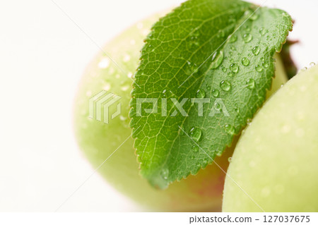 Plum fruit with white background 127037675