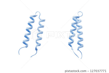 isolated, coronin, myosin 127037771