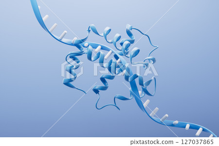 chromosome, bioengineering, biomedical 127037865