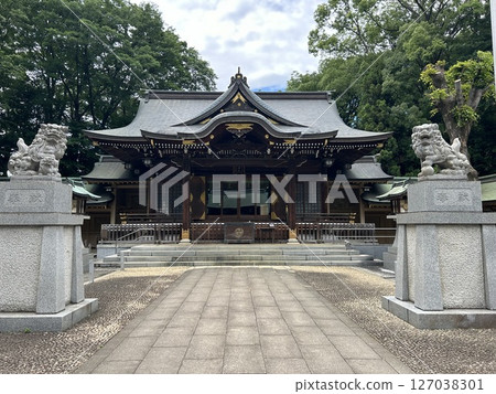 This is the worship hall and lion statues of Ogikubo Hachiman Shrine, a shrine in Suginami Ward, Tokyo. This is the worship hall and lion statues of Ogikubo Hachiman Shrine, a shrine in Suginami Ward, Tokyo. 127038301