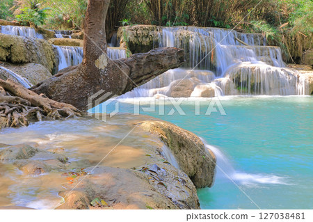 Tart / Quincy瀑布 127038481