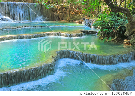 Tart / Quincy瀑布 127038497