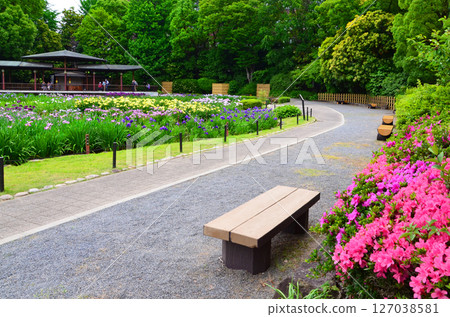 城北菖蒲園的風景（大阪市旭區） 127038581
