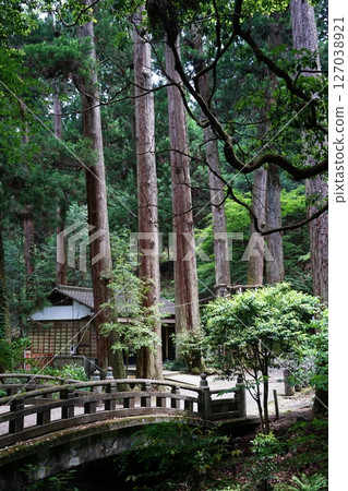 Scenery of Daiyuzan Saijoji Temple in Minamiashigara City, Kanagawa Prefecture 127038921