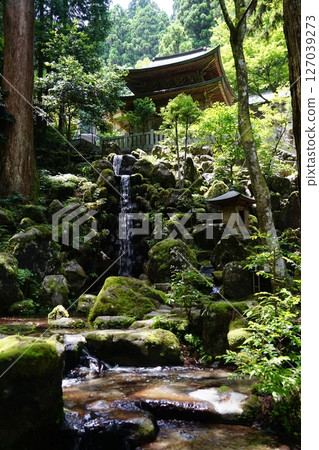 神奈川縣南足柄市大雄山西乘寺的淺心瀑布風景 127039273
