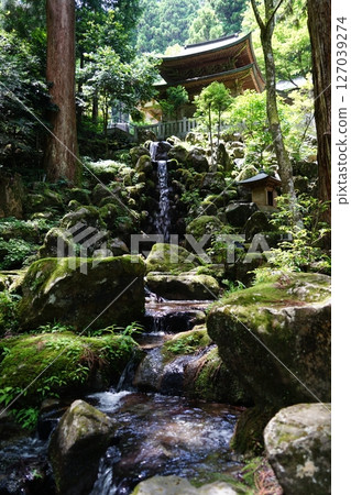 神奈川縣南足柄市大雄山西乘寺的淺心瀑布風景 神奈川縣南足柄市大雄山西乘寺的淺心瀑布風景 127039274