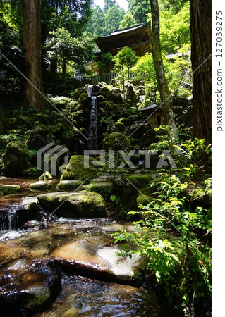 神奈川縣南足柄市大雄山西乘寺的淺心瀑布風景 127039275