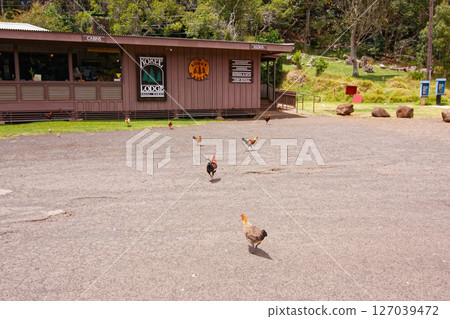 考艾島科基州立公園 127039472